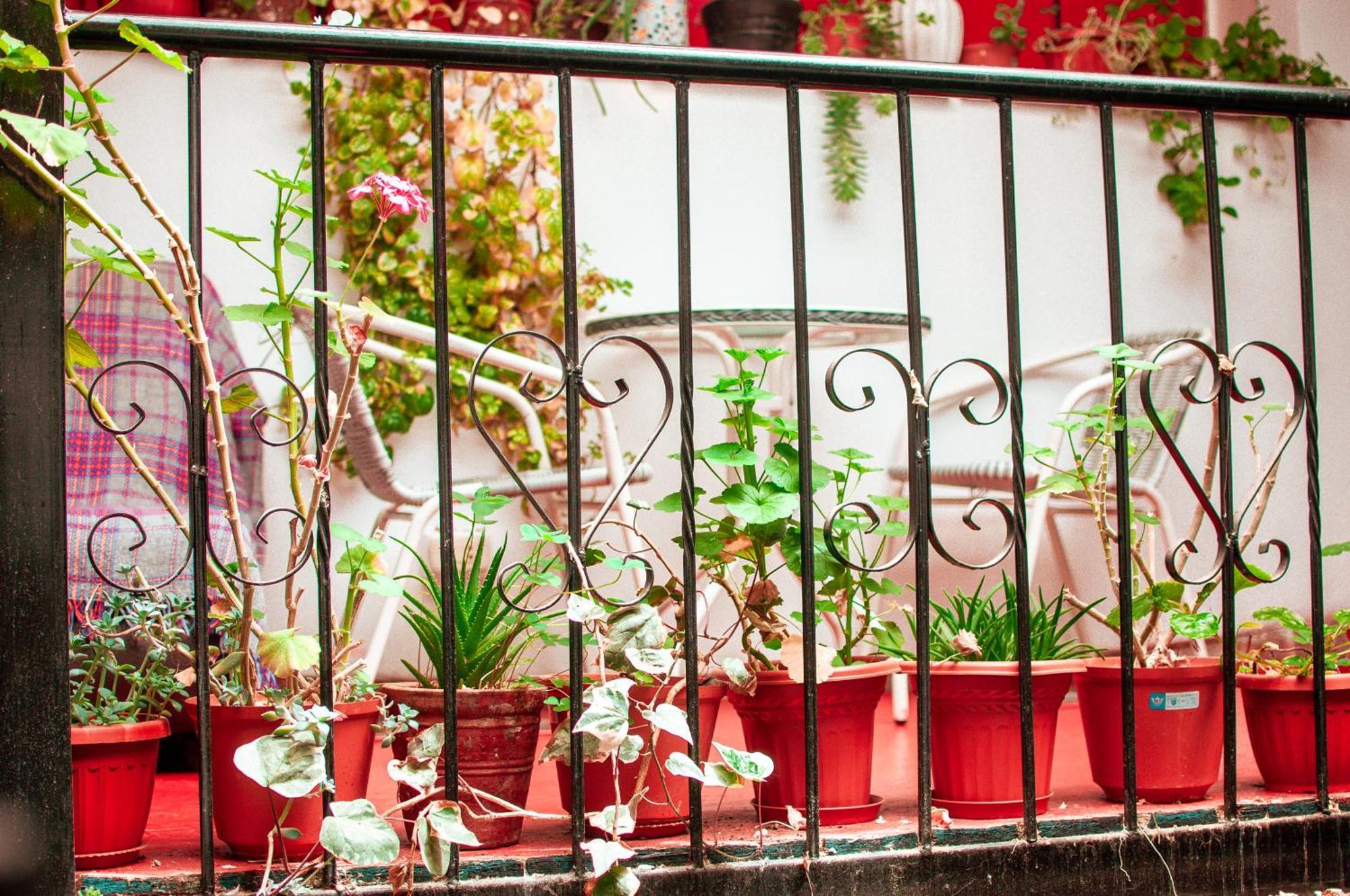 ホテル La Casa De Laura - Plaza クスコ エクステリア 写真