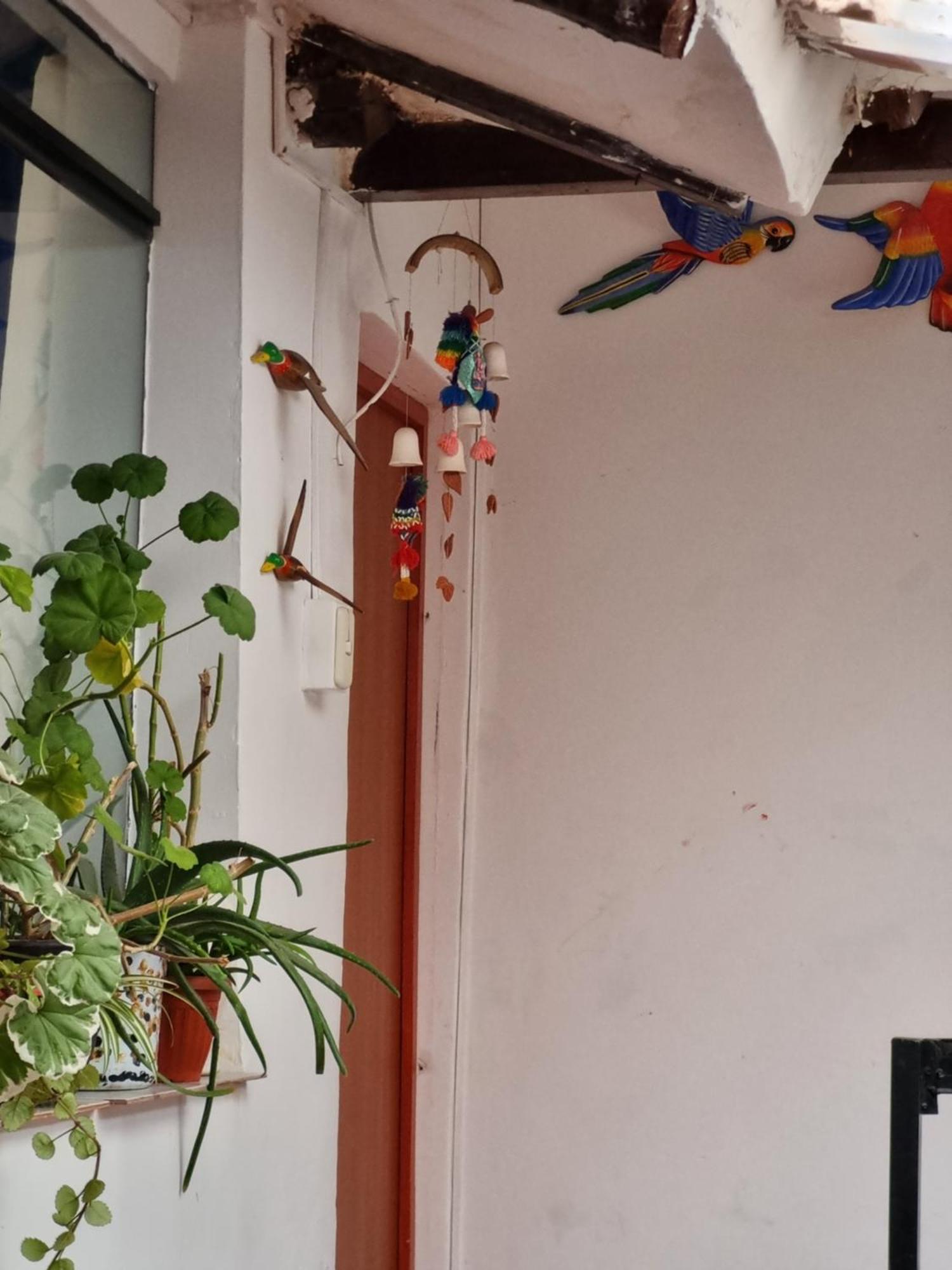 ホテル La Casa De Laura - Plaza クスコ エクステリア 写真